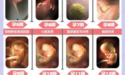 脸上头发油是什么原因怎么办网- 头上脸上出油严重是什么原因知识,分享脸上头发油是什么原因怎么办女性