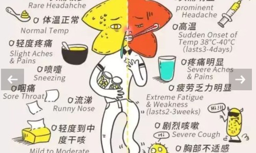 脸上头发油是什么原因怎么办网- 头上脸上出油严重是什么原因知识,分享脸上头发油是什么原因怎么办女性